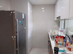 The Lakefront Residences (D22), Condominium #558436721